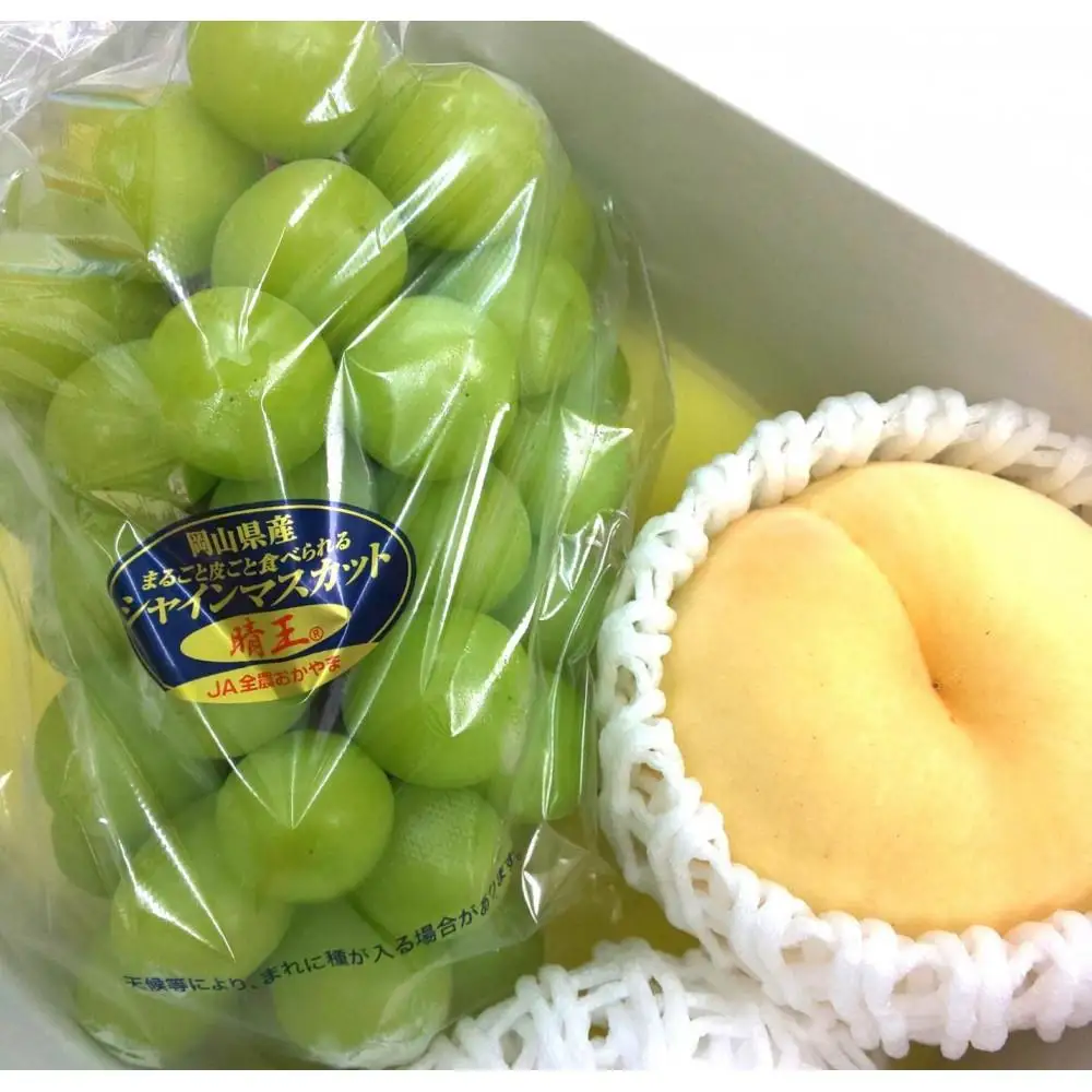 岡山県産フルーツ詰め合わせ（シャインマスカット１房、桃1個入）