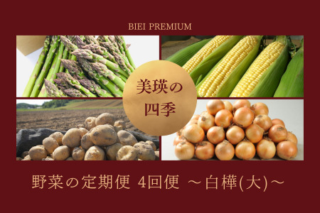 野菜セット 4回 定期便  旬な野菜 新鮮 白樺(大) 美瑛の四季【令和8年産予約受付】 