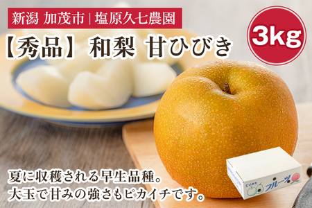 【2026年先行予約】新潟県産 和梨 甘ひびき 3kg 【秀品】《7月下旬～順次発送》 あまひびき