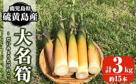  msm-018 《先行予約受付中！2026年5月初旬以降順次発送予定》硫黄島産 大名筍3kg(約15本)【いおう】三島村 筍 たけのこ タケノコ 皮付き 産地直送 採れたて 野菜 旬 新鮮 煮物 味噌汁 炊き込みご飯 
