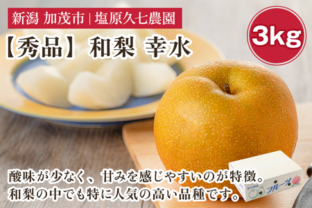 【2026年先行予約】新潟県産 和梨 幸水 3kg 【秀品】《8月中旬～順次発送》 こうすい