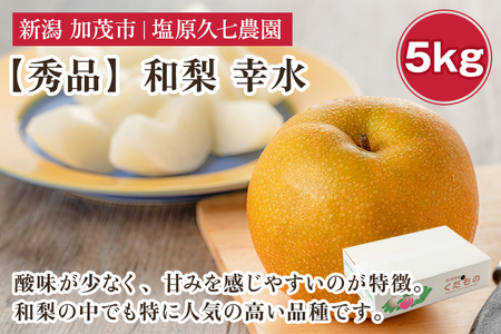 【2026年先行予約】新潟県産 和梨 幸水 5kg 【秀品】《8月中旬～順次発送》 こうすい
