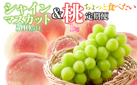 【ちょっと食べたい定期便】桃 約1kg(3～4玉)×シャインマスカット500g以上 126-024
