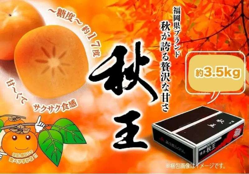 ＜2026年発送分・先行予約＞秋王 約3,5kg | フルーツ 果物 くだもの 食品 人気 おすすめ 送料無料