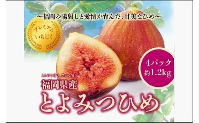 ＜2026年8月以降発送＞とよみつひめ ４パック約1200gセット（福岡市） | フルーツ 果物 くだもの 食品 人気 おすすめ 送料無料