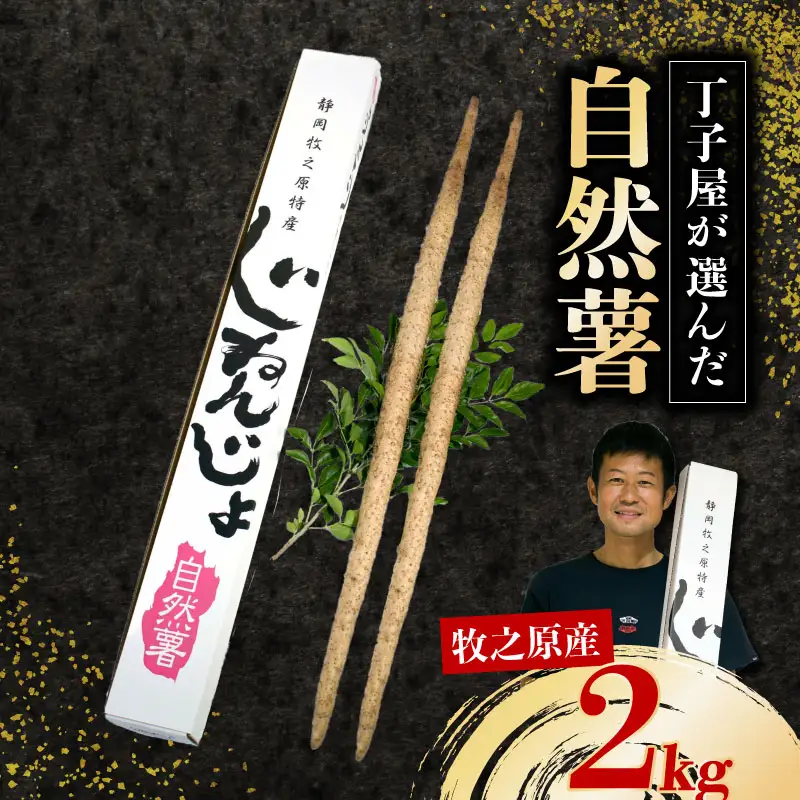 【R8年12月上旬からの発送】　自然薯 2kg 丁子屋が選んだ 自然薯