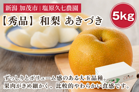 【2026年先行予約】新潟県産 和梨 あきづき 5kg 【秀品】《9月中旬～順次発送》