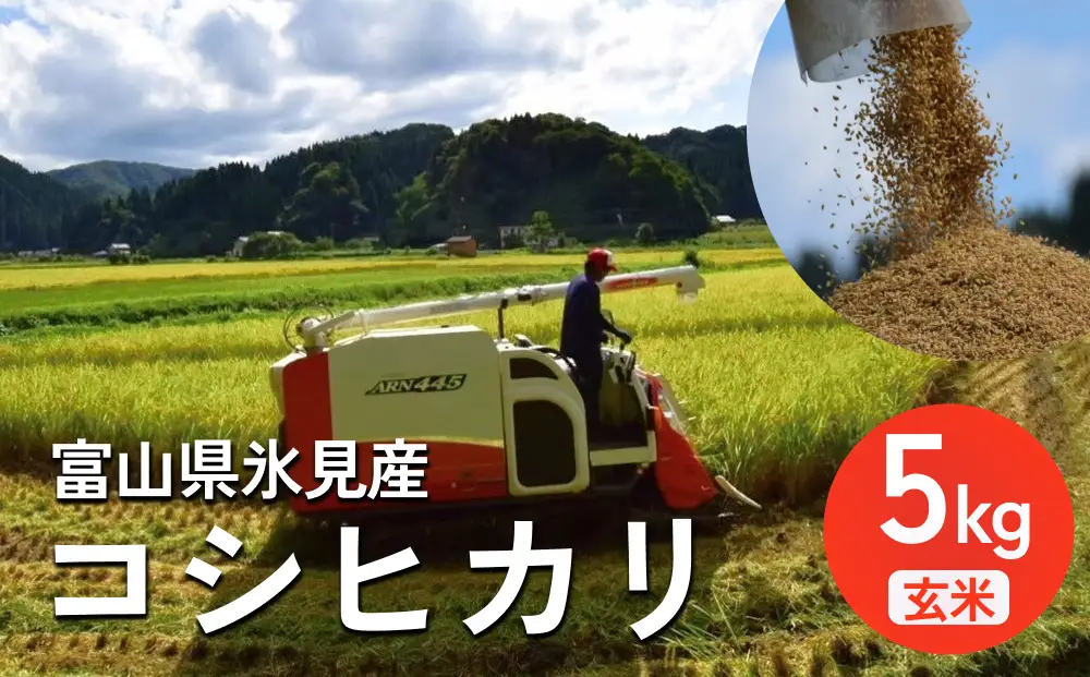 米 令和7年産 富山県氷見産 コシヒカリ 玄米 5kg 
