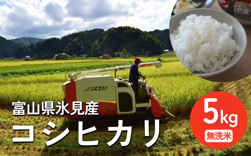 〈無洗米〉 米 令和7年産 富山県氷見産 コシヒカリ 5kg
