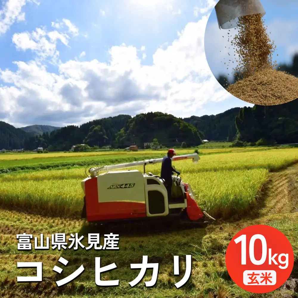 米 令和7年産 富山県氷見産 コシヒカリ 玄米 10kg | 玄米