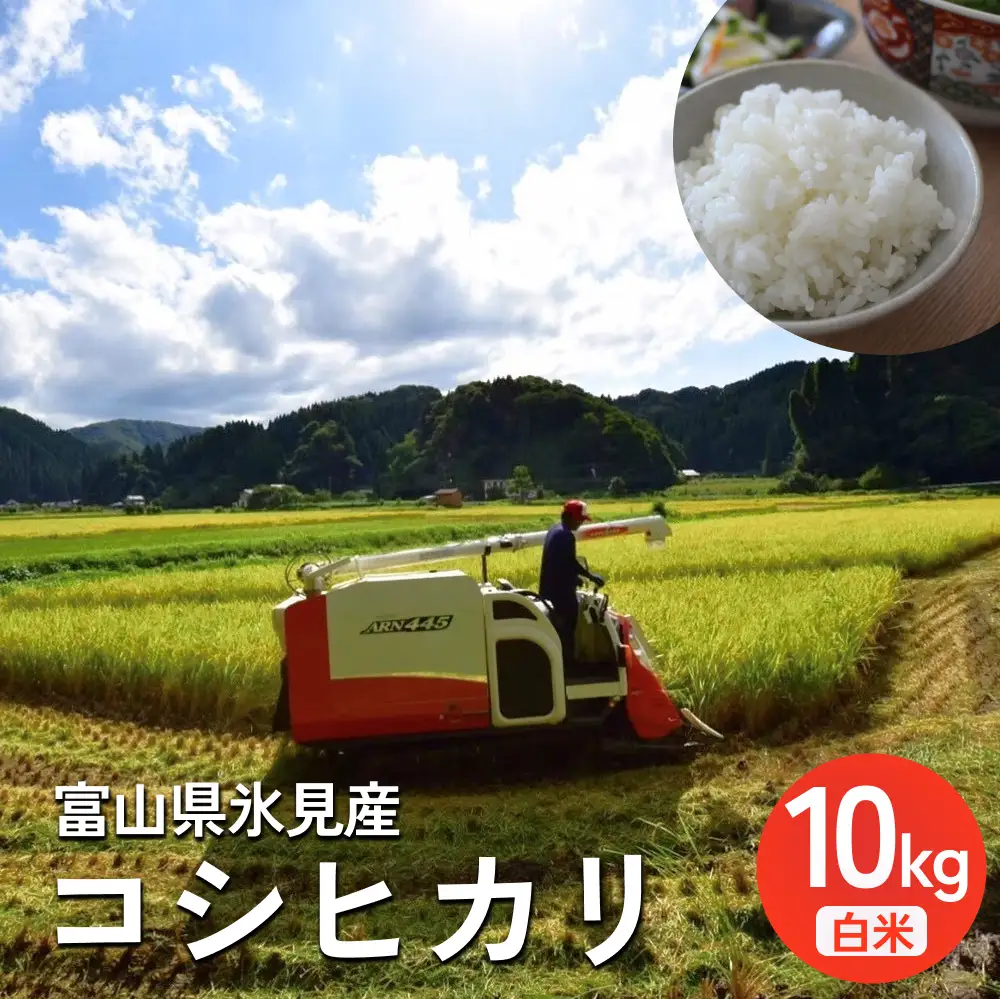 米 令和7年産 富山県氷見産 コシヒカリ 白米 10kg
