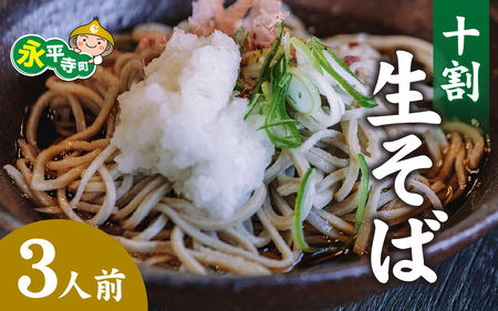 越前十割生蕎麦　３人前　(冷凍)　B-070001