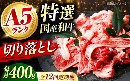 【全12回定期便】国産和牛切落し 400ｇ[AOAI048]切り落とし