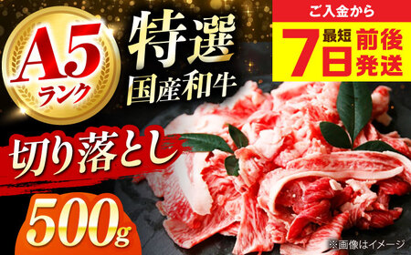 国産和牛切落し 500ｇ[AOAI049]切り落とし