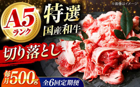 【全6回定期便】国産和牛切落し 500ｇ[AOAI051]切り落とし