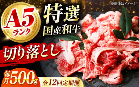 【全12回定期便】国産和牛切落し 500ｇ[AOAI052]切り落とし