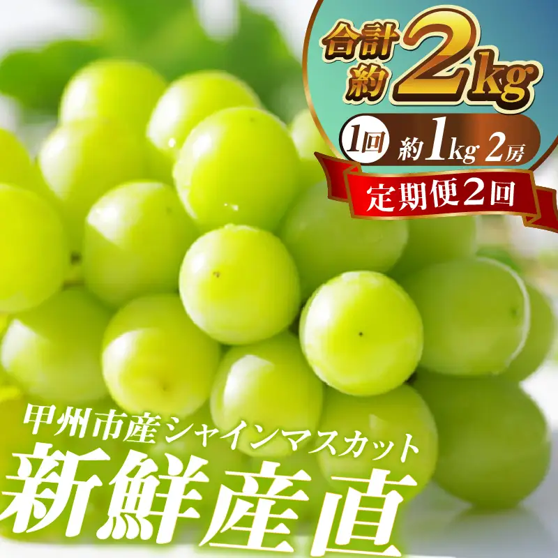 【定期便】新鮮産直！甲州市・シャインマスカット2回定期便【2026年発送】（KSF）B16-125 シャインマスカット フルーツ