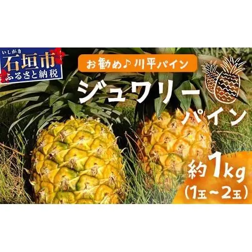 パイナップル 【先行予約】ジュワリーパイン1ｋｇ（1～2玉）　KN-1