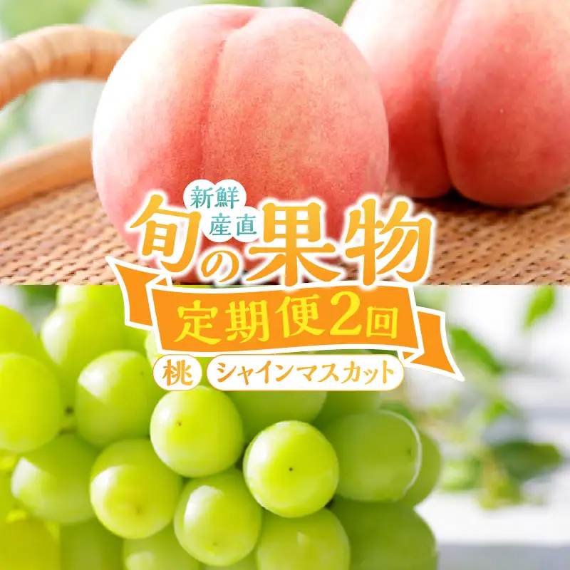 【定期便】新鮮産直！甲州市・桃とシャインマスカット2回定期便【2026年発送】（KSF）B16-126 桃 シャインマスカット フルーツ