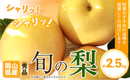 梨 秀品 旬の梨 約2.5kg