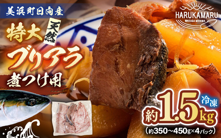 天然 ぶり 特大 ブリアラ（煮付け用）合計 約1.5kg 美浜町日向産【 アラ 】 [m36-a036]
