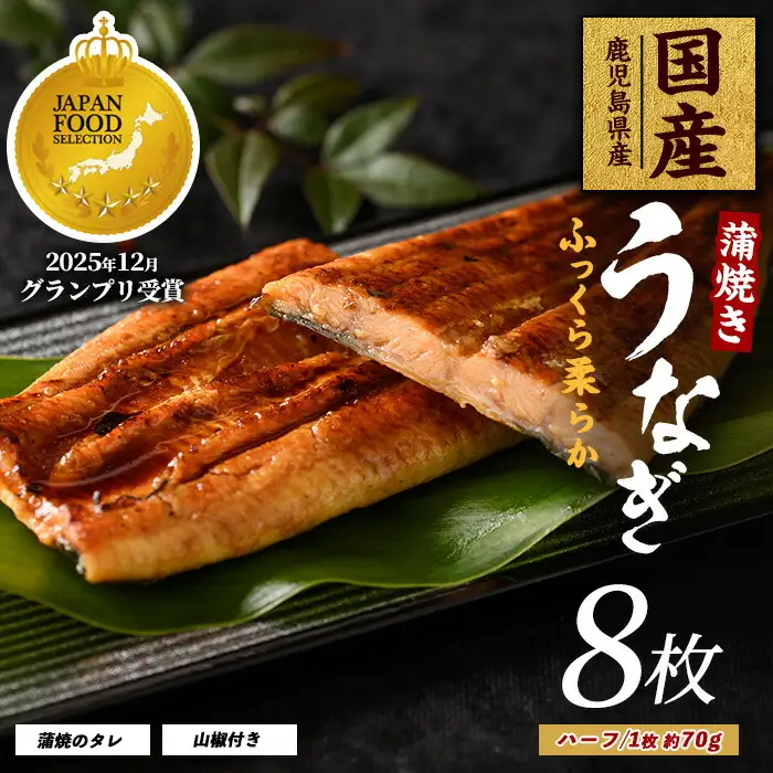 鹿児島県産 うなぎ蒲焼 じっくり焼きハーフカット約70g×8枚 化粧箱入り 大新 IB021-007 うなぎ うなぎ