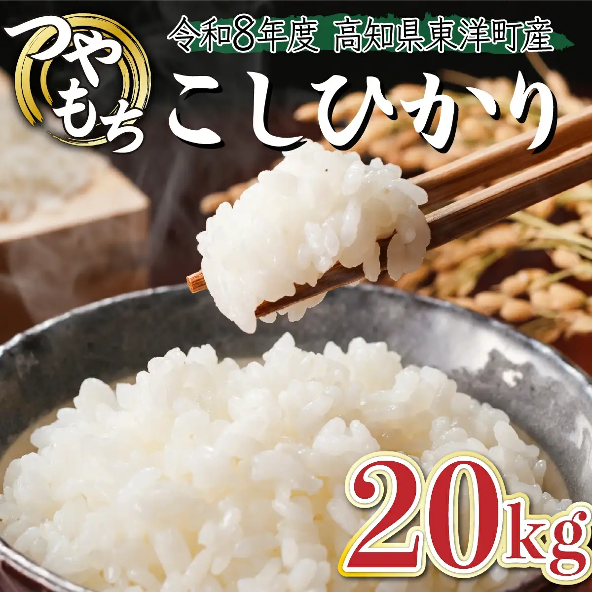 ＜2026年8月発送＞令和8年産コシヒカリ 20kg【S248】