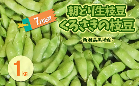 6月末～7月くろさきの枝豆1kg 新潟県黒埼産  朝どり生枝豆 