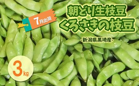 6月末～7月くろさきの枝豆3kg 新潟県黒埼産  朝どり生枝豆