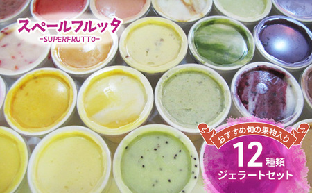 おすすめ旬の果物入り 12種類ジェラートセット アイス ジェラート 旬の果物 チョコレート 抹茶ミルク ピスタチオ 食べ比べ セット 詰合せ お取り寄せ 文京区 東京