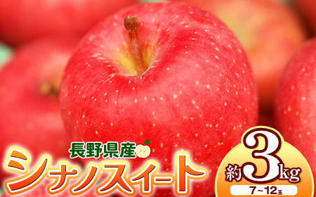 シナノスイート 約3kg 【2026年先行予約】 | 浅野農園