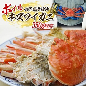 ボイル 本ズワイガニ 1匹 350g程度 遊佐沖 10月中旬～12月下旬頃お届け 冷蔵便 ※着日指定・離島（沖縄県を含む）発送不可 1人前 東北 山形県 遊佐町 庄内地方 日本海 カニ 蟹 かに 海産物 シーフード 海鮮 新鮮 まるごと ボイル 焼き 期間限定 ゆで 茹で [850]