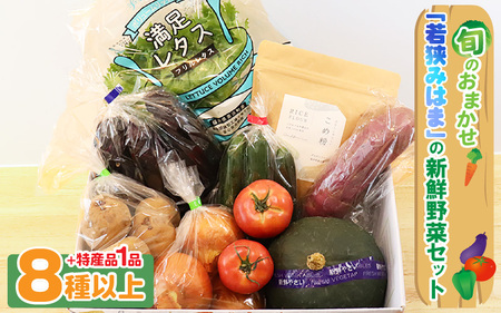 旬のおまかせ「若狭みはま」の新鮮野菜セット 8種以上＋特産品1品【ふるさと納税 春野菜 夏野菜 秋野菜 冬野菜  定期便 定期 やさい 野菜 セット 詰合せ 大容量 産地直送 旬 新鮮 採れたて おススメ 人気 】  [m80-a001]