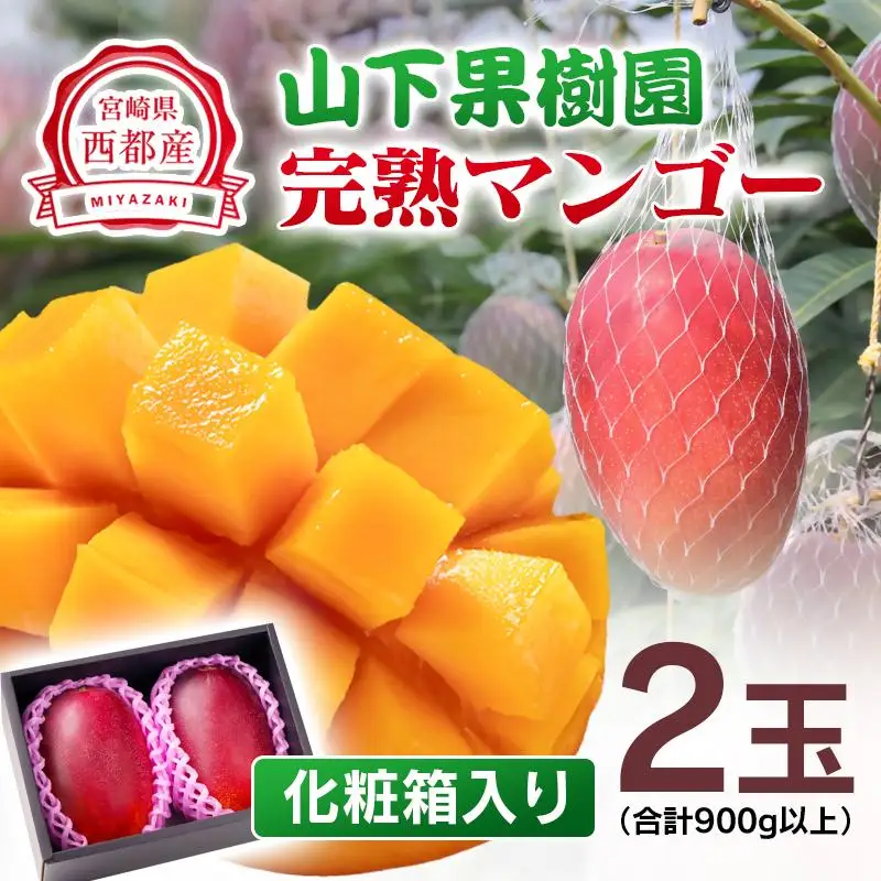 【マンゴー専門 山下果樹園】完熟マンゴー 2玉 合計900g以上 宮崎県西都産 生産者直送【先行予約】＜61-2a＞