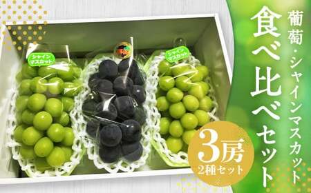 【先行予約受付】 ぶどう食べ比べセット！ シャインマスカット2房、葡萄1房 計3房【2026年8月上旬～8月下旬迄発送予定】 ／ 葡萄 ぶどう ブドウ シャインマスカット マスカット ピオーネ 巨峰 ナガノパープル 藤稔 ふじみのり 果物 フルーツ 季節の果物 食べ比べ セット 詰め合わせ 詰合せ 長崎県産 長崎市産 長崎県 長崎市 冷蔵