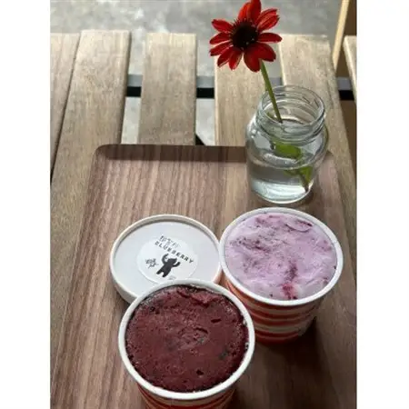 那賀川育ち 完熟ブルーベリーの贅沢アイス＆ソルベ_菓子・スイーツ アイス・ジェラート  _【配送不可地域：離島】【1588064】