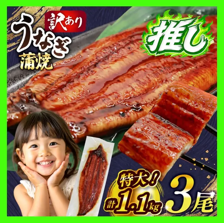 うなぎ 蒲焼 特大 訳あり 3尾 1.1kg うなぎ [um40bak830001]