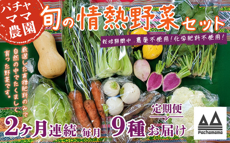 野菜 無農薬 農園自慢の情熱野菜セット 9品 【 2ヶ月 連続 お届け 】