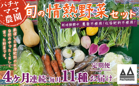 野菜 無農薬 農園自慢の情熱野菜セット 11品 【 4ヶ月 連続 お届け 】