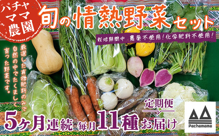 野菜 無農薬 農園自慢の情熱野菜セット 11品 【 5ヶ月 連続 お届け 】