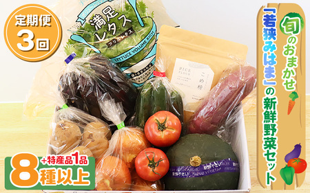定期便 《3ヶ月連続お届け》旬のおまかせ「若狭みはま」の新鮮野菜セット 8種以上＋特産品1品【ふるさと納税 春野菜 夏野菜 秋野菜 冬野菜  定期便 定期 やさい 野菜 セット 詰合せ 大容量 産地直送 旬 新鮮 採れたて おススメ 人気 】  [m80-c001]