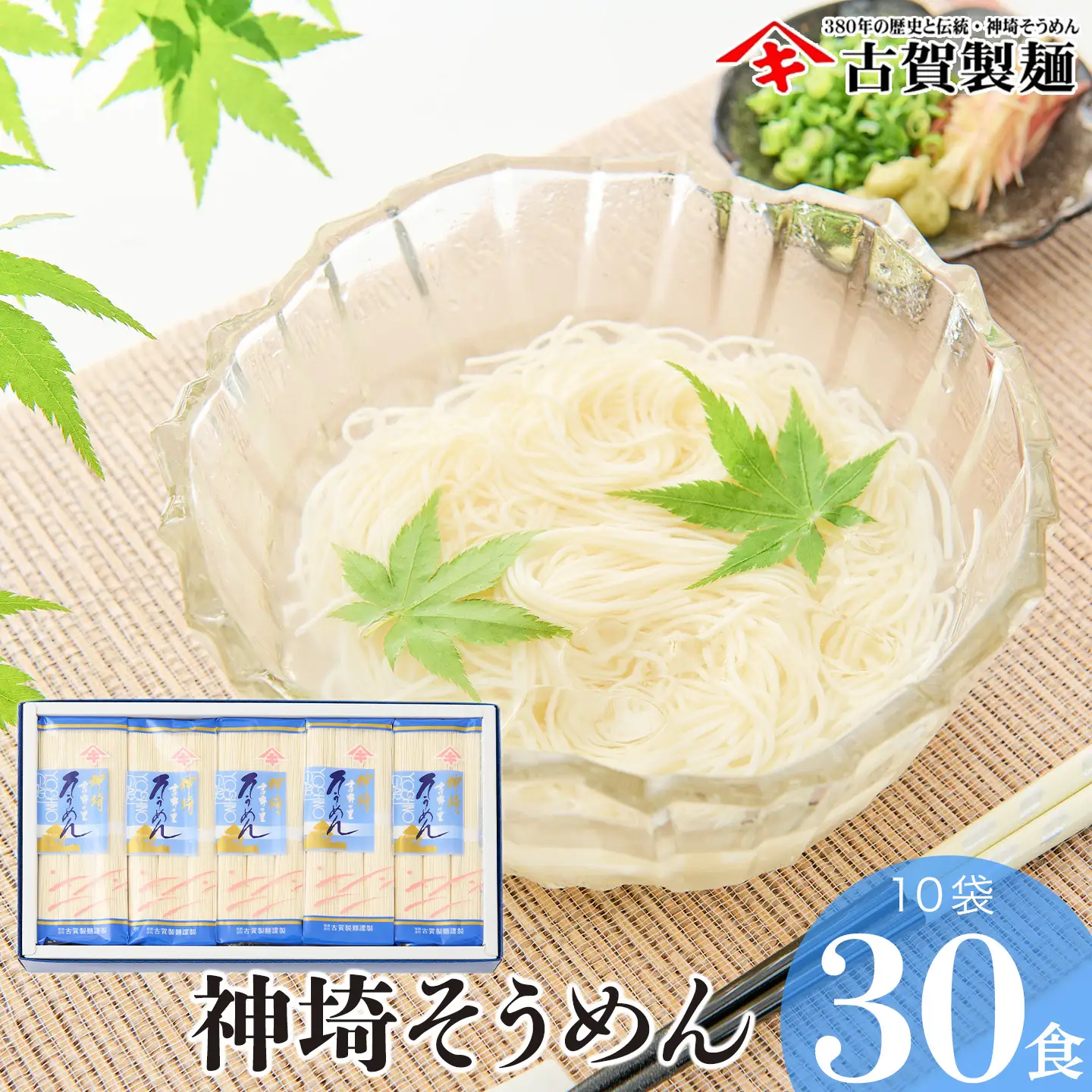 佐賀県特産品 神埼そうめん 10入(H014144)