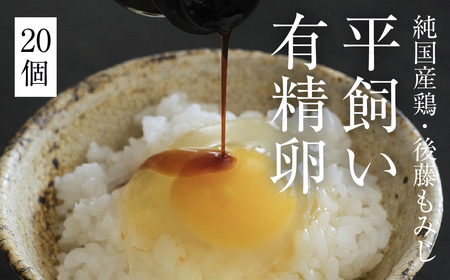 平飼い有精卵20個｜自然卵・家庭用・放し飼い（西粟倉村）【配送不可地域：沖縄・離島】t-SS-AmDA