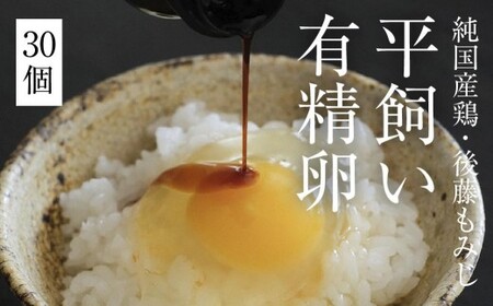 平飼い有精卵30個｜濃厚卵・卵かけご飯・放し飼い（西粟倉村）【配送不可地域：沖縄・離島】t-SS-AnDA