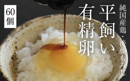 平飼い有精卵60個｜業務用・大容量・新鮮放し飼い卵（西粟倉村）【配送不可地域：沖縄・離島】t-SS-ApDA