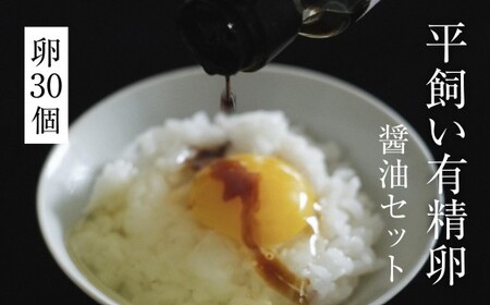 平飼い有精卵30個＋だし醤油｜卵かけご飯用・放し飼い卵（西粟倉村）【配送不可地域：沖縄・離島】 t-SS-AnEA