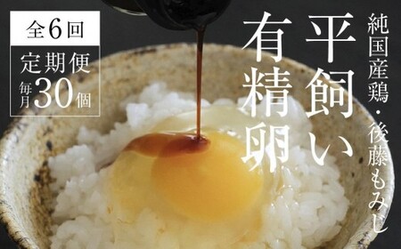 平飼い有精卵30個【全6回定期便】｜毎月届く卵・放し飼い（西粟倉村）【配送不可地域：沖縄・離島】t-SS-CnDA
