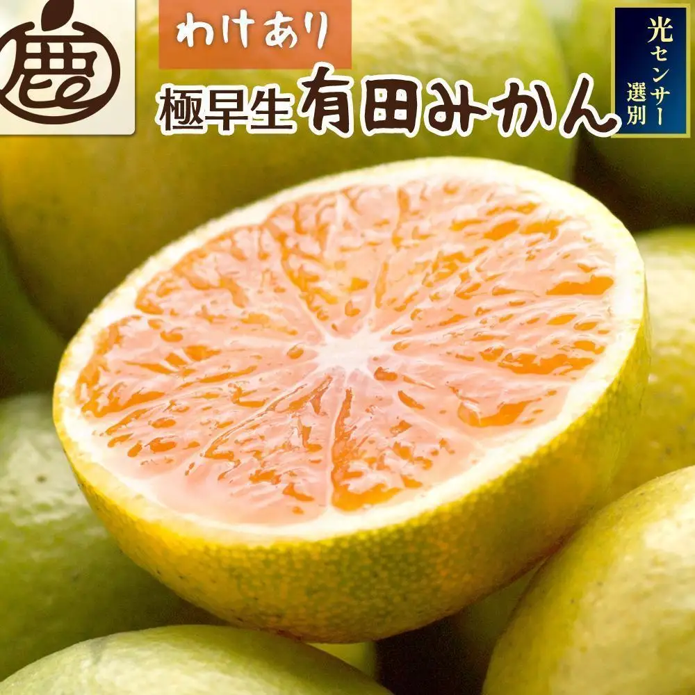 ［先行予約］家庭用 有田みかん（極早生）10kg+250g（傷み補償分）