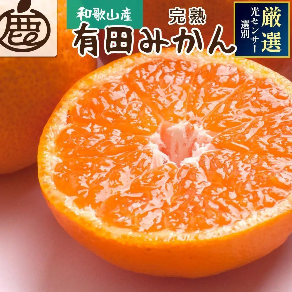 ［先行予約］プレミアム 有田みかん（完熟）10kg+250g（傷み補償分）