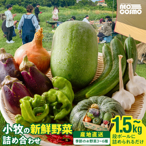 ★障がい者支援施設応援品★ ネオコスモ農園で採れた小牧の野菜詰め合わせ[124N02]